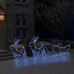 Kalėdinė lauko dekoracija elniai ir rogės, 576 LED lemputės цена и информация | Рождественское украшение CA1031, 10 см | pigu.lt