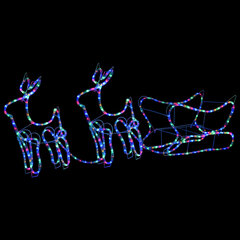 Kalėdinė lauko dekoracija elniai ir rogės, 576 LED lemputės цена и информация | Рождественское украшение CA1031, 10 см | pigu.lt