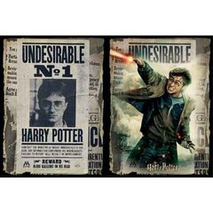 Dėlionė Harry Potter Wanted, 500 detalių kaina ir informacija | Dėlionės (puzzle) | pigu.lt