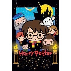 3D dėlionė Wig Harry Potter (300 vnt.) kaina ir informacija | Dėlionės (puzzle) | pigu.lt
