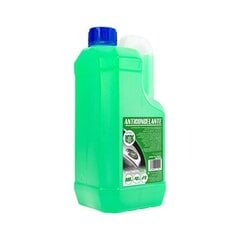 Антифриз Motorkit -4º 10% Зеленый (2 л) цена и информация | Очищающие и охлаждающие жидкости | pigu.lt