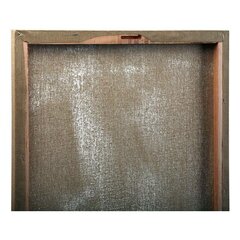 Картина DKD Home Decor (120 x 3 x 60 cm) (2 шт.) цена и информация | Репродукции, картины | pigu.lt