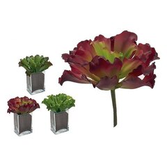 Dekoratyvinis augalas Ibergarden kaina ir informacija | Dirbtinės gėlės | pigu.lt