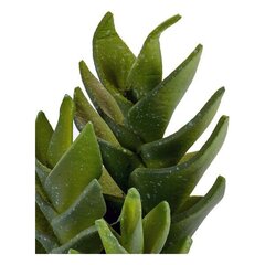 Искусственный кактус цена и информация | Искусственные цветы | pigu.lt