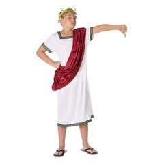 Маскарадные костюмы для детей Римлянин цена и информация | Карнавальные костюмы | pigu.lt
