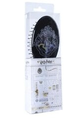 Щетка для волос Гарри Поттера цена и информация | Атрибутика для игроков | pigu.lt