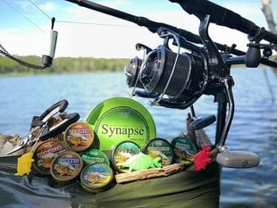 Žvejybos valas SYNAPSE wild carp 0.305mm 100m kaina ir informacija | Valai | pigu.lt