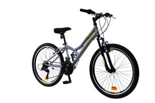 Vaikų dviratis N1 Junior 1.0 24", pilkas kaina ir informacija | Dviračiai | pigu.lt
