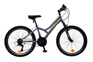 Детский велосипед N1 MTB 1.0 24", серый цена и информация | Велосипеды | pigu.lt