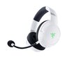 Razer RZ04-03470300-R3M1, baltos kaina ir informacija | Ausinės | pigu.lt