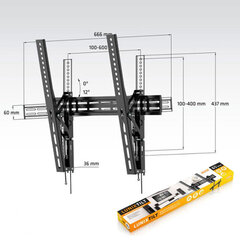 Axil 0571E 32"-65" 35 Kg цена и информация | Кронштейны и крепления для телевизоров | pigu.lt