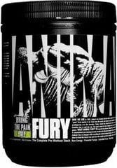 Universal Animal Fury 328 г. цена и информация | Энергетики | pigu.lt