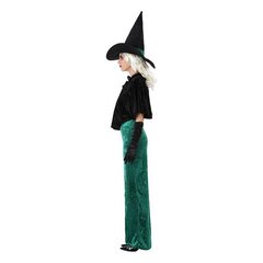 Kostumas suaugusiems Ragana Žalia цена и информация | Карнавальные костюмы | pigu.lt