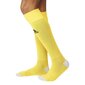 Futbolo kojinės Adidas Milano 16 AJ5909/E19295, geltonos kaina ir informacija | Futbolo apranga ir kitos prekės | pigu.lt
