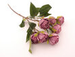 Rožių šakelė dark purple kaina ir informacija | Dirbtinės gėlės | pigu.lt