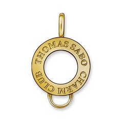 Женский кулон Thomas Sabo X0184-413-12 (1,5 cм) цена и информация | Женское колье | pigu.lt