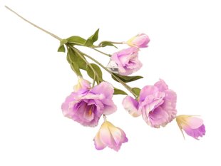 Веточка эустома фиолетовая цена и информация | Искусственные цветы | pigu.lt