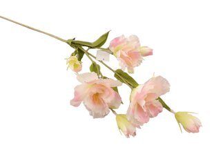 Eustomos šakelė pink kaina ir informacija | Dirbtinės gėlės | pigu.lt