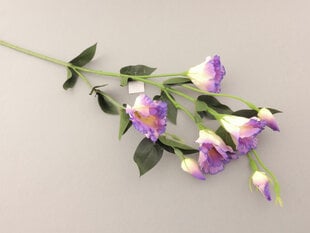 Eustoma cream purple цена и информация | Искусственные цветы | pigu.lt