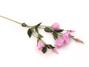 Eustoma light purple цена и информация | Искусственные цветы | pigu.lt