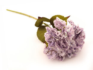 Hortenzija purple kaina ir informacija | Dirbtinės gėlės | pigu.lt