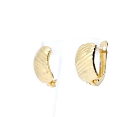 Auksiniai auskarai moterims kaina ir informacija | Auskarai | pigu.lt