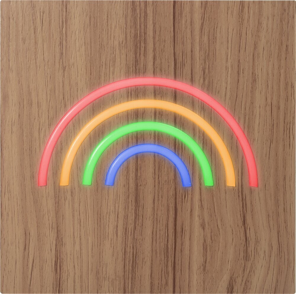 Neon L - belaidis ir belaidis įkrovimo garsiakalbis su belaidžiu Rainbow ColorLight įkrovikliu kaina ir informacija | LED juostos | pigu.lt
