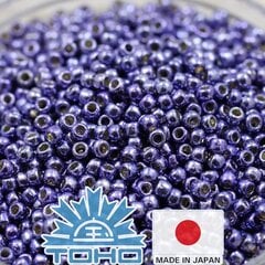 Бисер TOHO® Seed Beads PermaFinish - Metallic Polaris TR-11-PF567 11/0 (2,2 мм) 10 г. цена и информация | Принадлежности для изготовления украшений, бисероплетения | pigu.lt