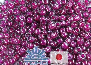 Бисер TOHO® Seed Beads, внутренний цвет, серый / пурпурный, 11/0 (2,2 мм) 10 г. цена и информация | Принадлежности для изготовления украшений, бисероплетения | pigu.lt