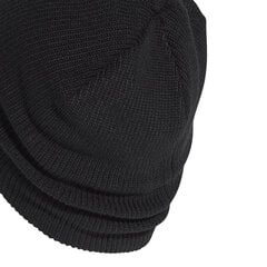 Adidas Кепки Perf Beanie Black GE0609/OSFM цена и информация | Мужские шарфы, шапки, перчатки | pigu.lt