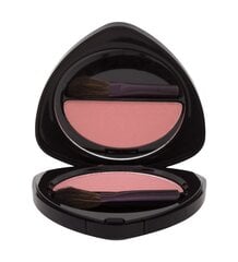 Skaistalai Dr. Hauschka Blush, 01 Raspberry, 5 g kaina ir informacija | Bronzantai, skaistalai | pigu.lt