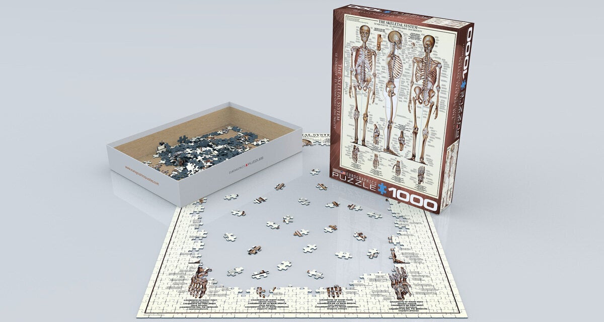 Dėlionė Eurographics, 6000-3970, The Skeletal System, 1000 d. kaina ir informacija | Dėlionės (puzzle) | pigu.lt