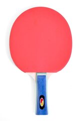 Настольная игра SMJ Ping-Pong Racket цена и информация | Ракетки для настольного тенниса, чехлы и наборы | pigu.lt
