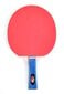 Stalo teniso raketė Smj Ping-Pong, 1 vnt, raudona kaina ir informacija | Stalo teniso raketės, dėklai ir rinkiniai | pigu.lt
