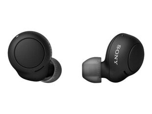 Sony WFC500B.CE7 Black kaina ir informacija | Ausinės | pigu.lt