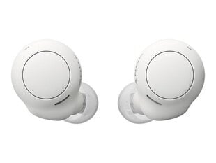 SONY WFC500W.CE7 white kaina ir informacija | Sony Kompiuterinė technika | pigu.lt