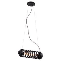 Lussole потолочный светильник Loft-9341 цена и информация | Люстры | pigu.lt
