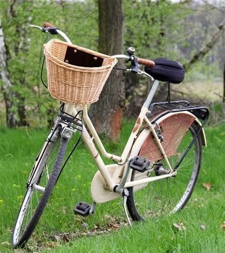 Pintas dviračio krepšys, rudas kaina ir informacija | Krepšiai, telefonų laikikliai | pigu.lt