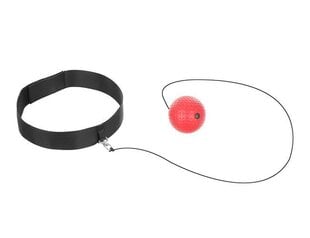 Рефлекторный мяч 3 шт. установлен цена и информация | Игрушки для песка, воды, пляжа | pigu.lt