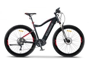Elektrinis dviratis Ecobike RX 500, 17,5 ah LG, 2021 kaina ir informacija | Elektriniai dviračiai | pigu.lt