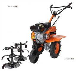 Benzininis motoblokas - kultivatorius AMBER-LINE MBB750D B-CLASS, 5.5KW, 85cm kaina ir informacija | Aeratoriai, kultivatoriai | pigu.lt