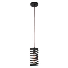Lussole потолочный светильник Loft-9641 цена и информация | Люстры | pigu.lt