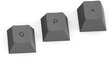 Glorious PC Gaming Race GPBT Keycaps Black Ash 114 vnt. цена и информация | Klaviatūros | pigu.lt