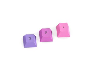 Glorious PC Gaming Race GPBT Keycaps Nebula 114 шт. цена и информация | Клавиатуры | pigu.lt