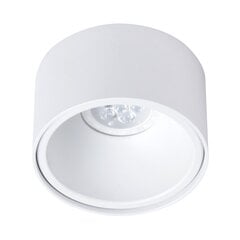 круглый потолочный светильник, белый цена и информация | Потолочные светильники | pigu.lt