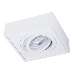 Milagro šviestuvas Nusa Square White kaina ir informacija | Įmontuojami šviestuvai, LED panelės | pigu.lt