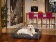 Hobbydog guolis Glamour New Brown Inari, L, 78x53 cm kaina ir informacija | Guoliai, pagalvėlės | pigu.lt