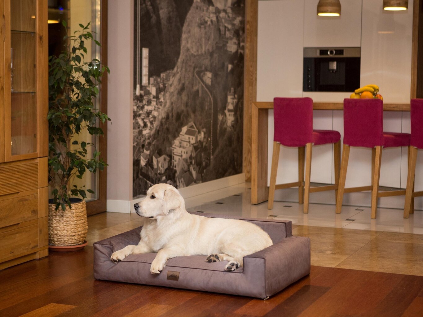 Hobbydog guolis Glamour New Brown Fancy, XL, 98x66 cm kaina ir informacija | Guoliai, pagalvėlės | pigu.lt