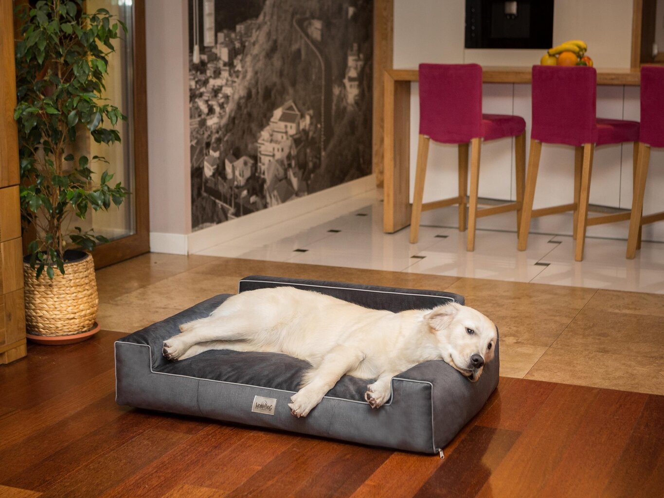 Hobbydog guolis Glamour New Black Fancy, XXL, 116x78 cm kaina ir informacija | Guoliai, pagalvėlės | pigu.lt