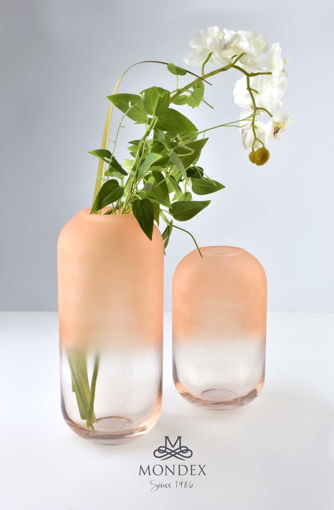 Serenite vaza 28 cm kaina ir informacija | Vazos | pigu.lt